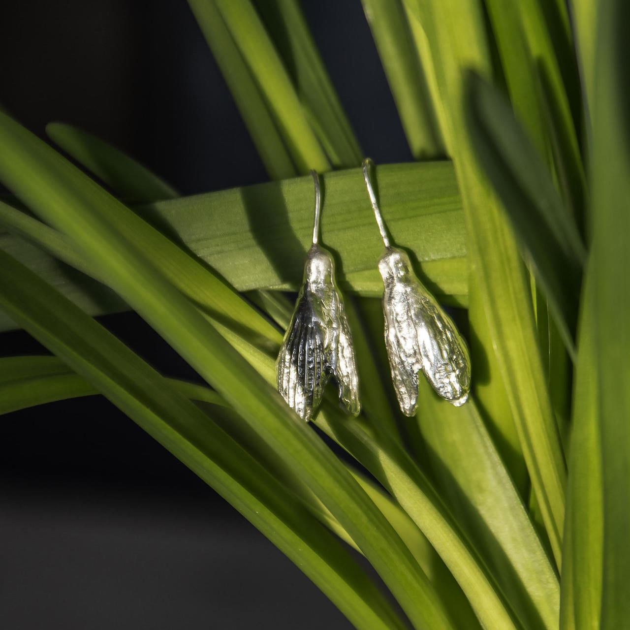 Silver insect-shaped earrings by Agens Veski hanging on green leaves — botanical, bold, and nature-inspired craftsmanship