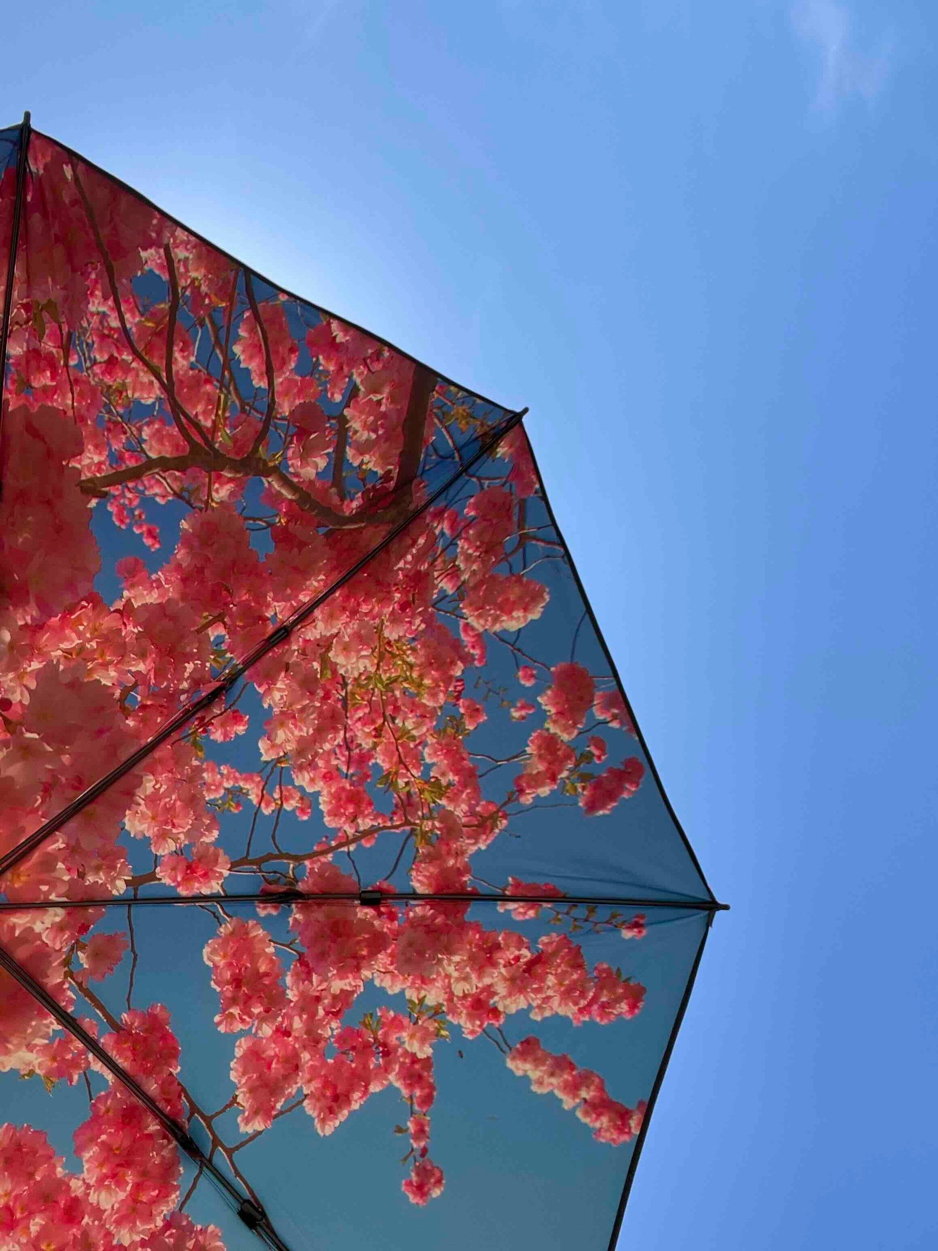 HAPPYSWEEDS Swedish design umbrellas - windproof UPF50+ travel-inspired prints including Cherry Sky Lake and Forest designs at Sostter independent boutique platform