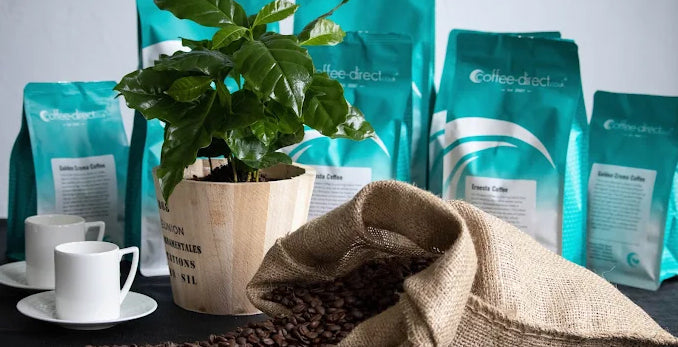 Coffee-Direct freshly roasted coffee beans and equipment — over 100 varieties roasted to order in Lymington, available at Sostter