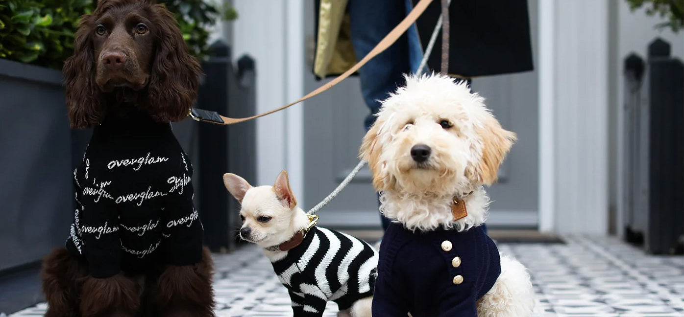 Overglam London high-end pet fashion — dog hoodies, jackets, collars and leads from a London fashion brand, available at Sostter