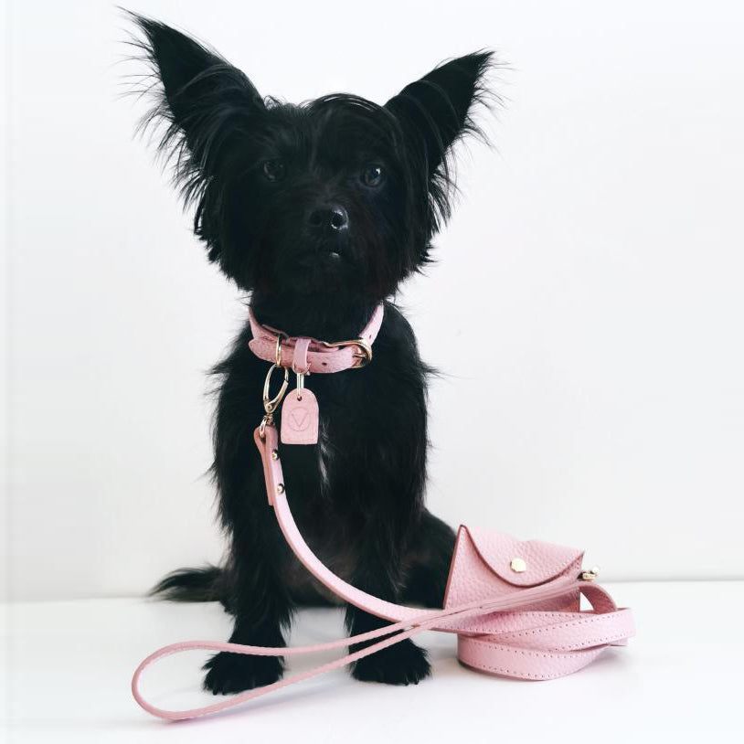 Leather Lead in Six Colours