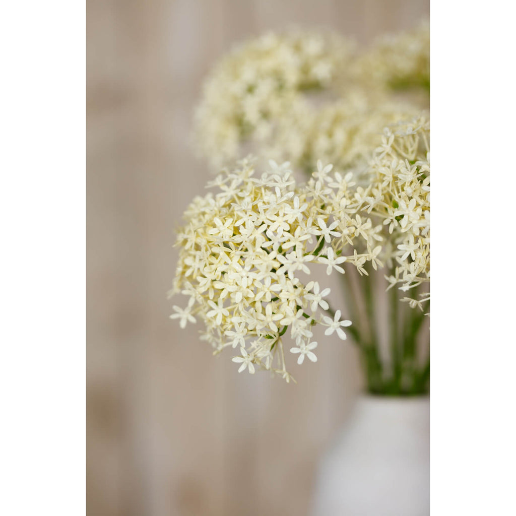 Cream allium spray faux floral with lacy blooms, soft cream ornamental onion flowers, 25-inch home decor accent by sostter at brixbailey.com