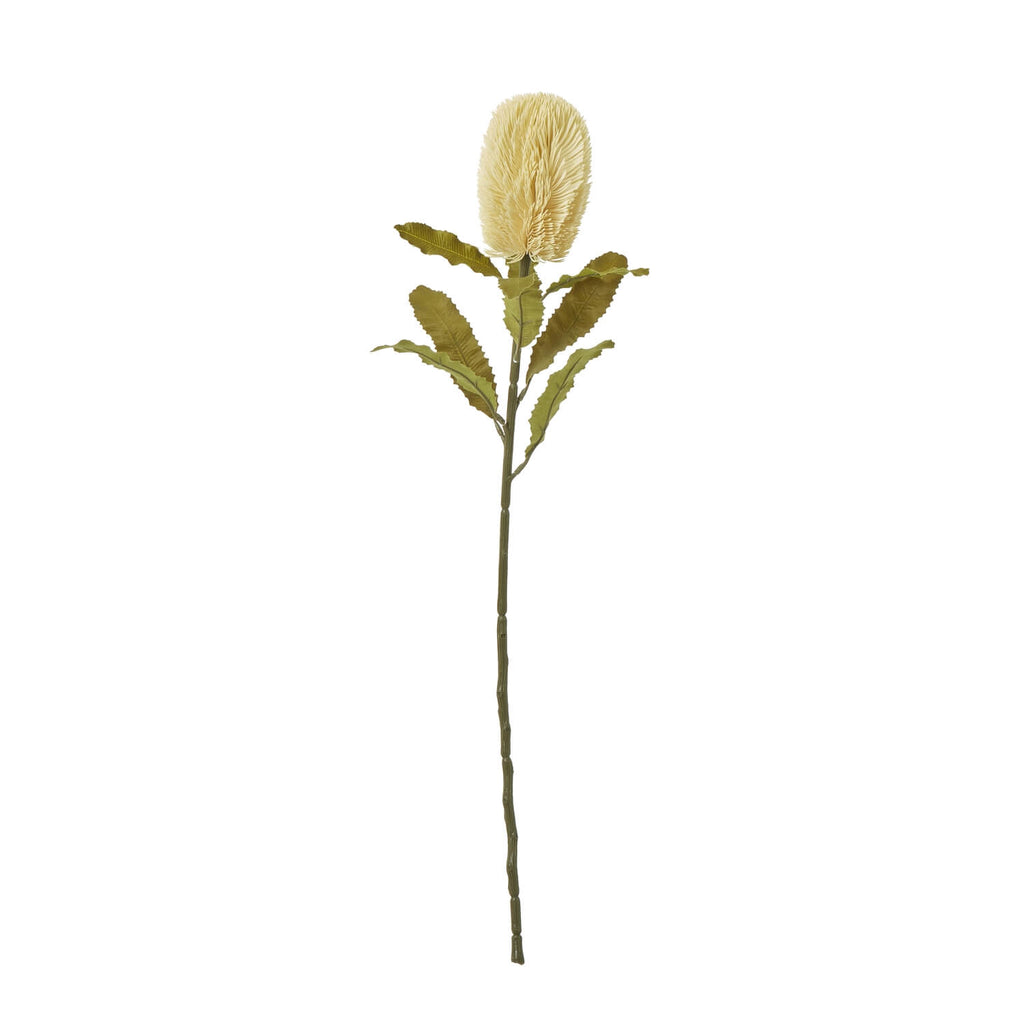Banksia serrata faux stem with feathery cream blooms and green accents, 65cm artificial floral decor by sostter at brixbailey.com