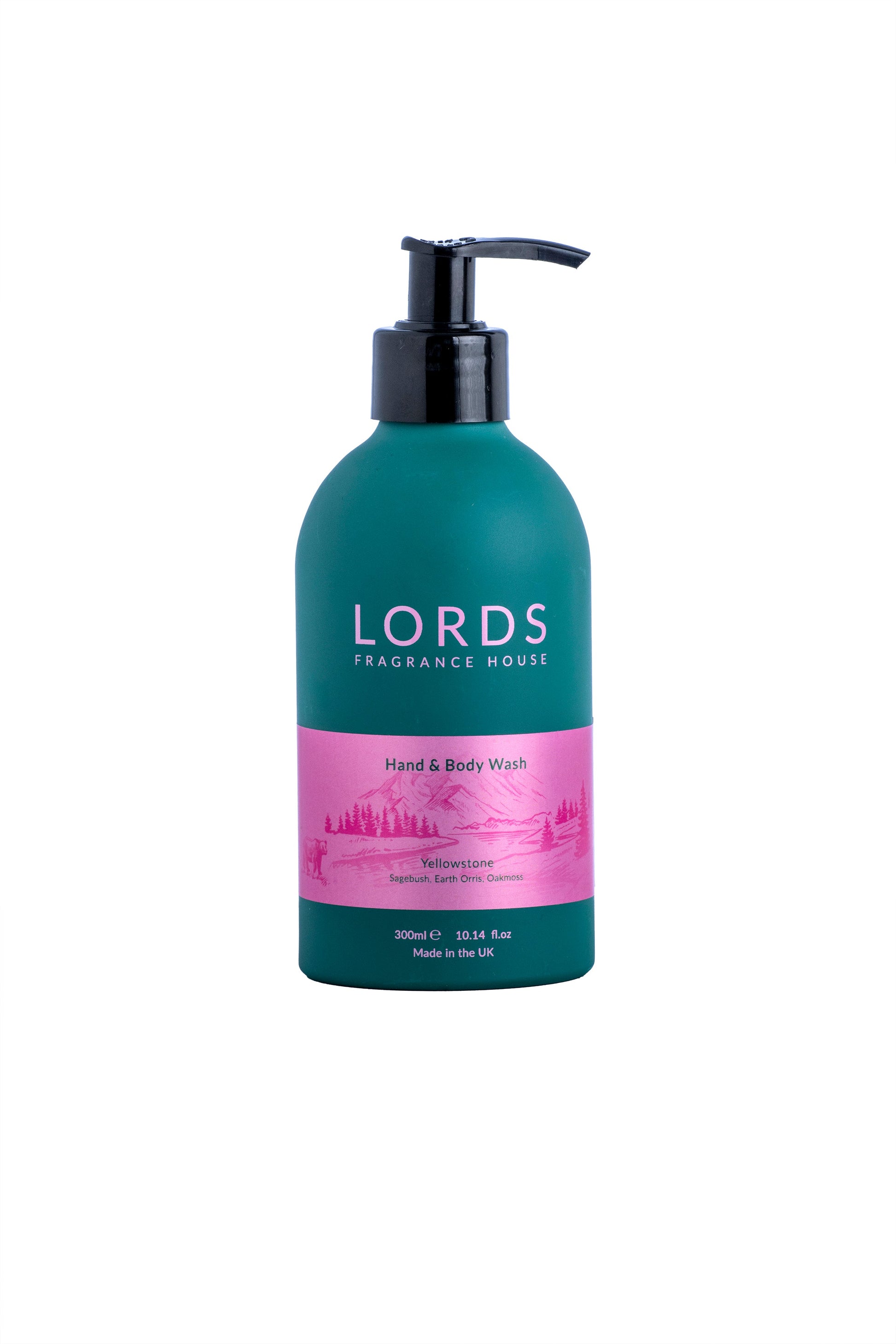 Hand and Body Wash in Green Refillable Aluminium Bottle