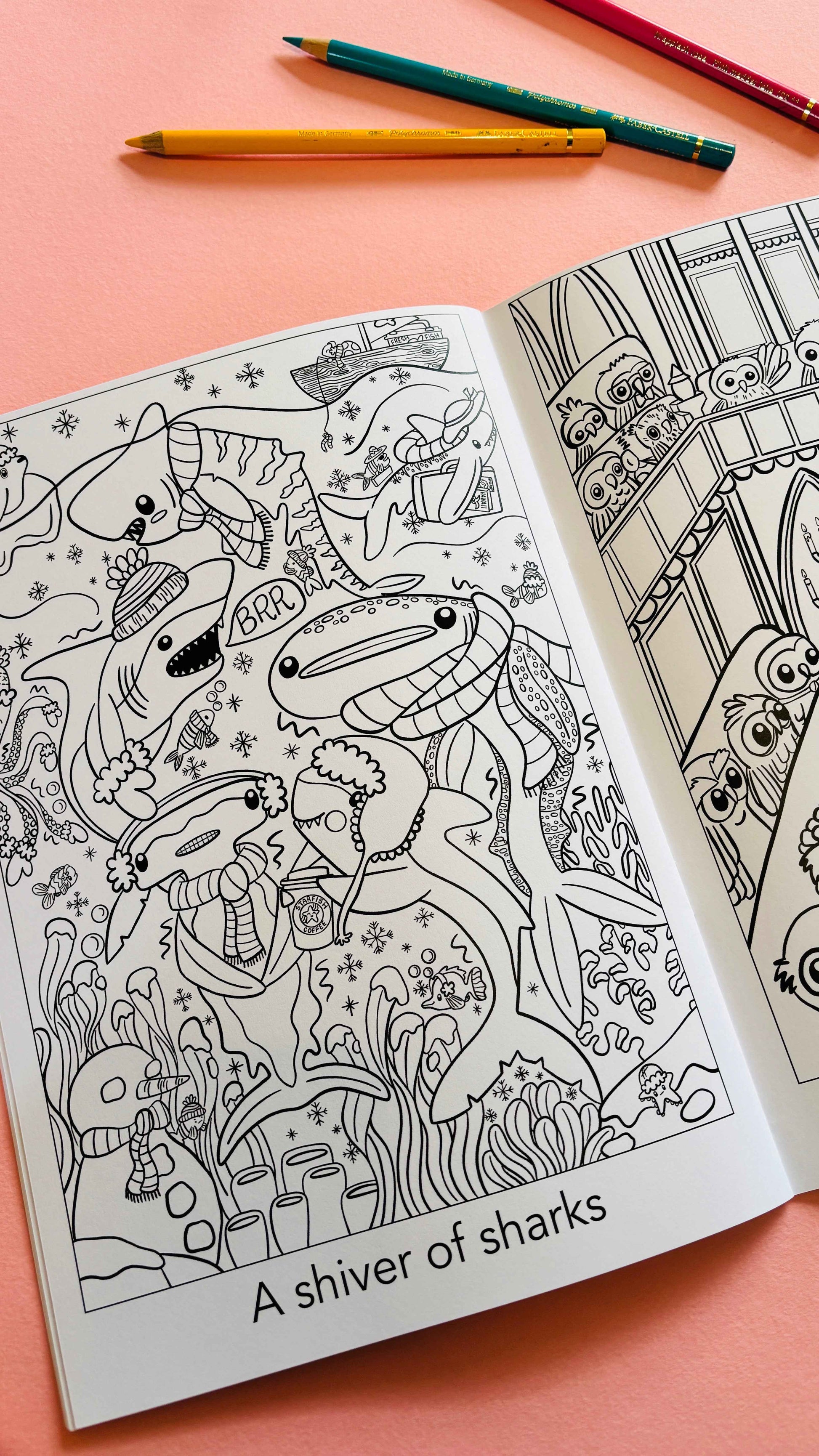 A Crown of Kingfishers Colouring Book