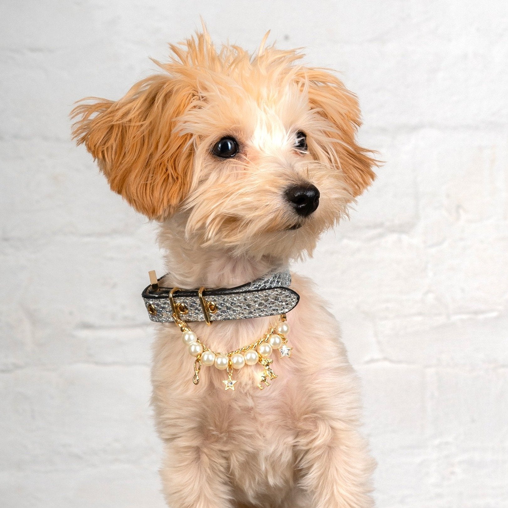 Silver Glitter Collar with Pearl Detail