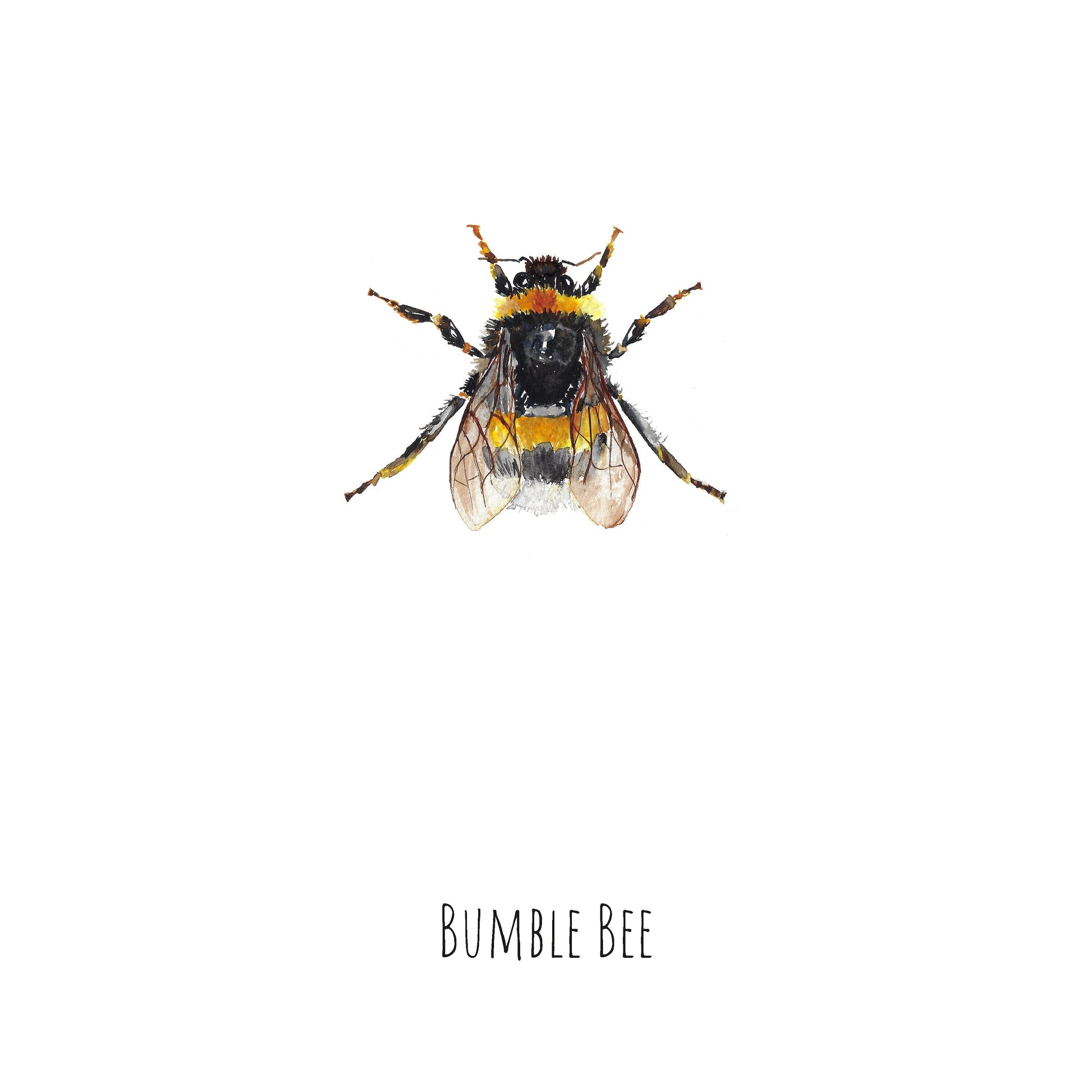 Bumblebee Watercolour Fine Art Print