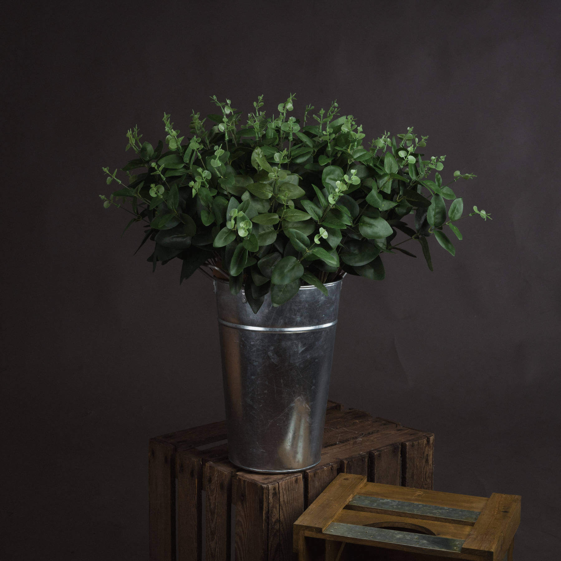 Dark green cineraria eucalyptus spray with lifelike plastic leaves, 62cm tall, for home decor or floral arrangements. by RoomLondon at brixbailey.com
