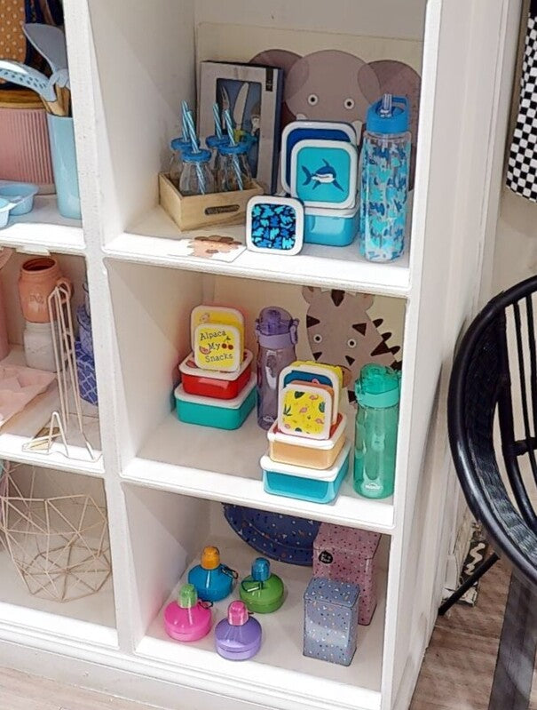 Set of 2 Stellar Storage Canisters in Pink and Blue