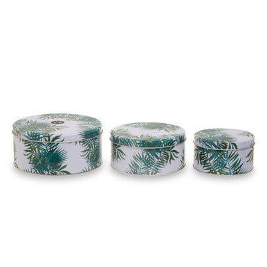 Winter Palm Cake Storage Tins Set of 3