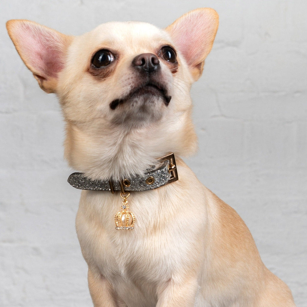 Silver Glitter Collar with Crown