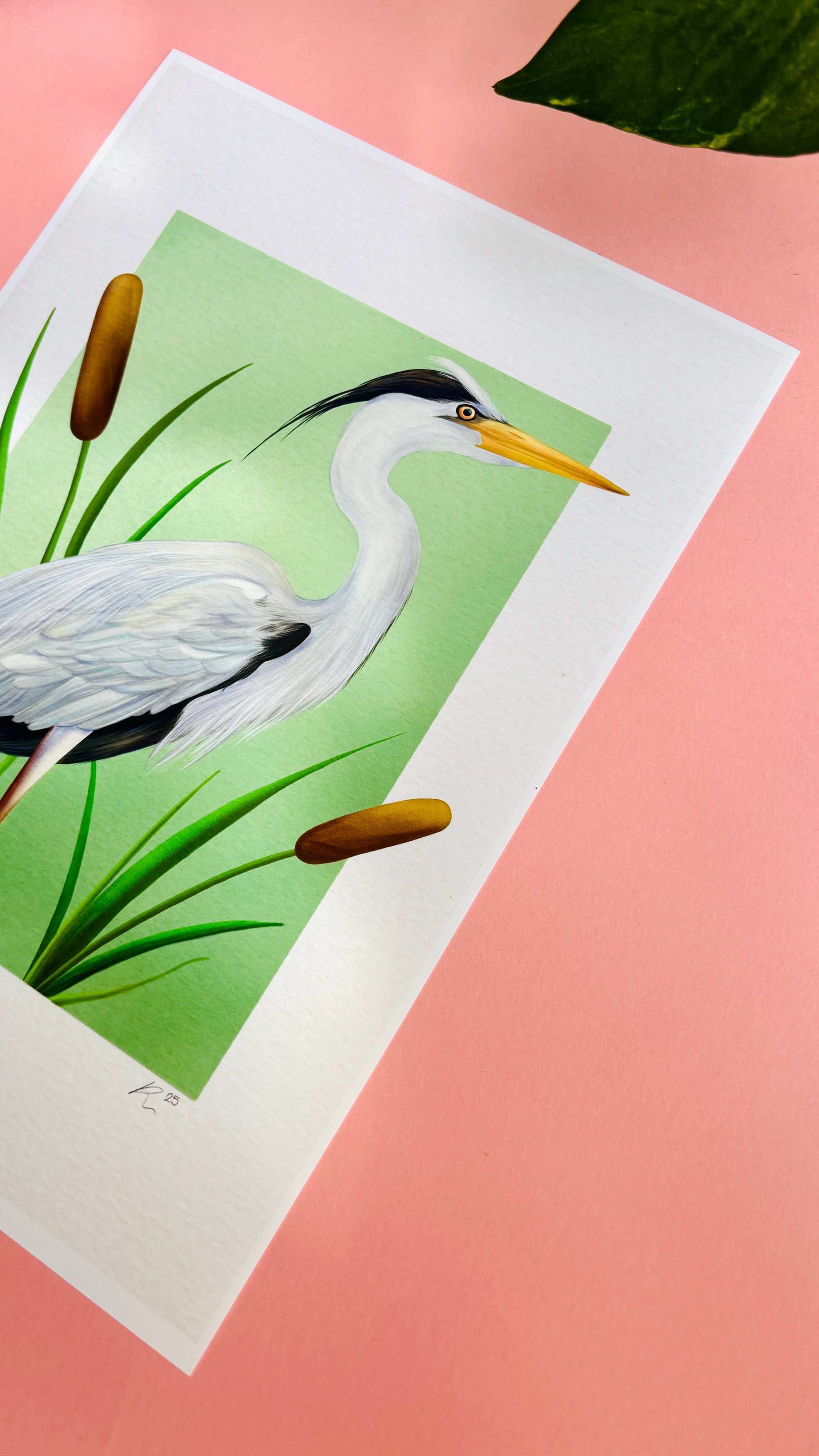 Grey Heron Wildlife Art Print in Multiple Sizes