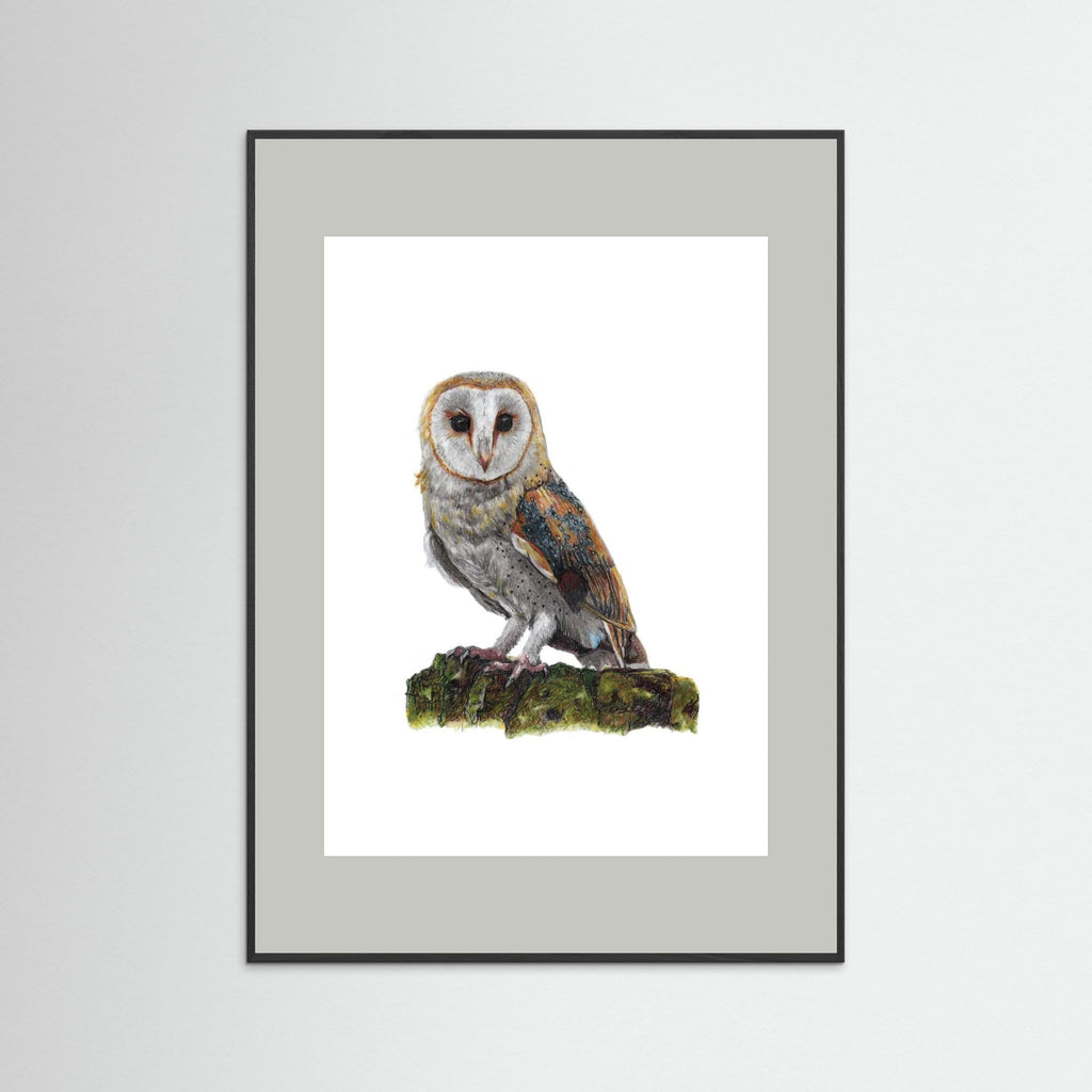 Barn Owl Art Print Wildlife Wall Art for Nature Lovers
