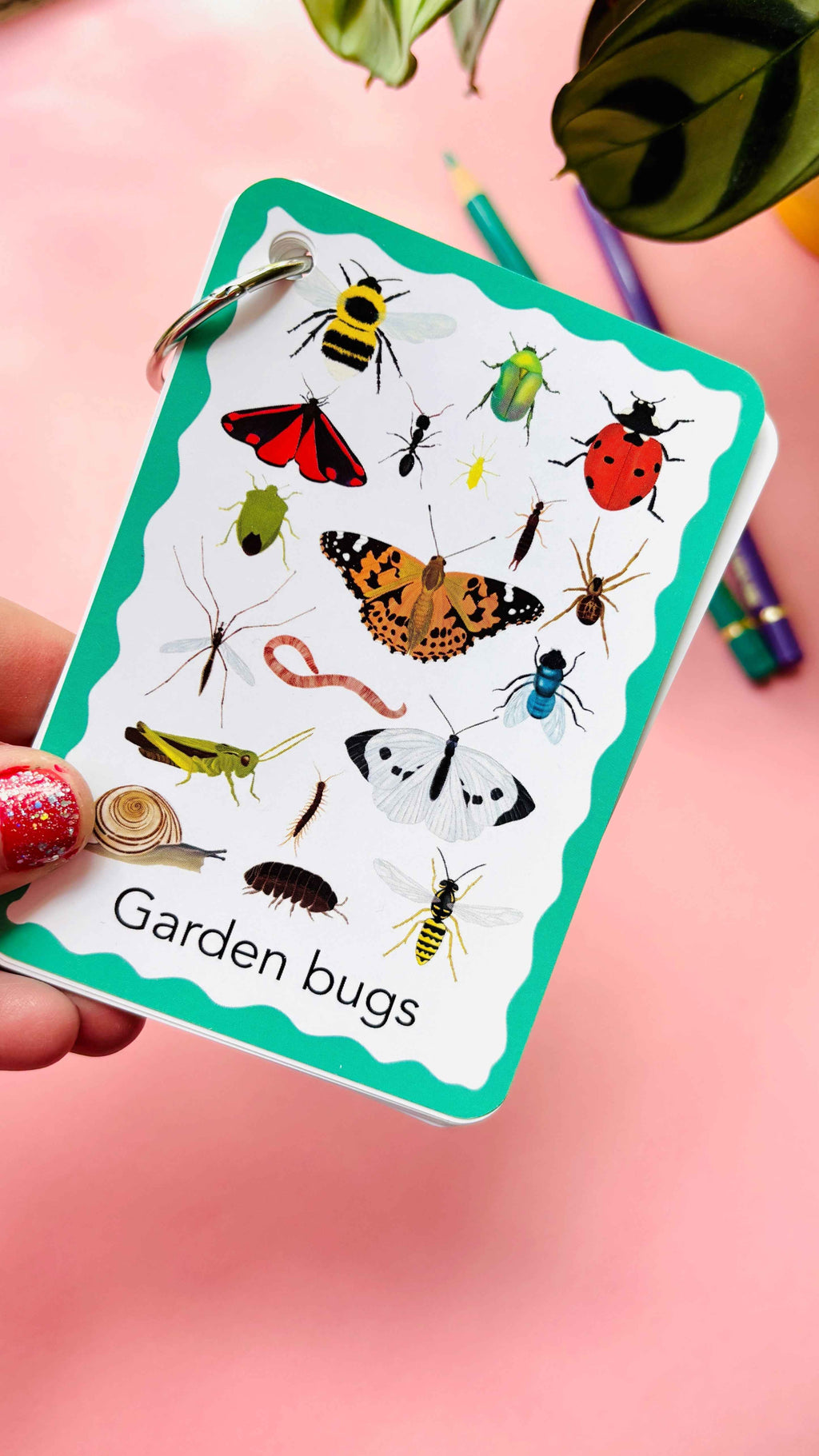Garden Bugs Illustrated Identification Cards