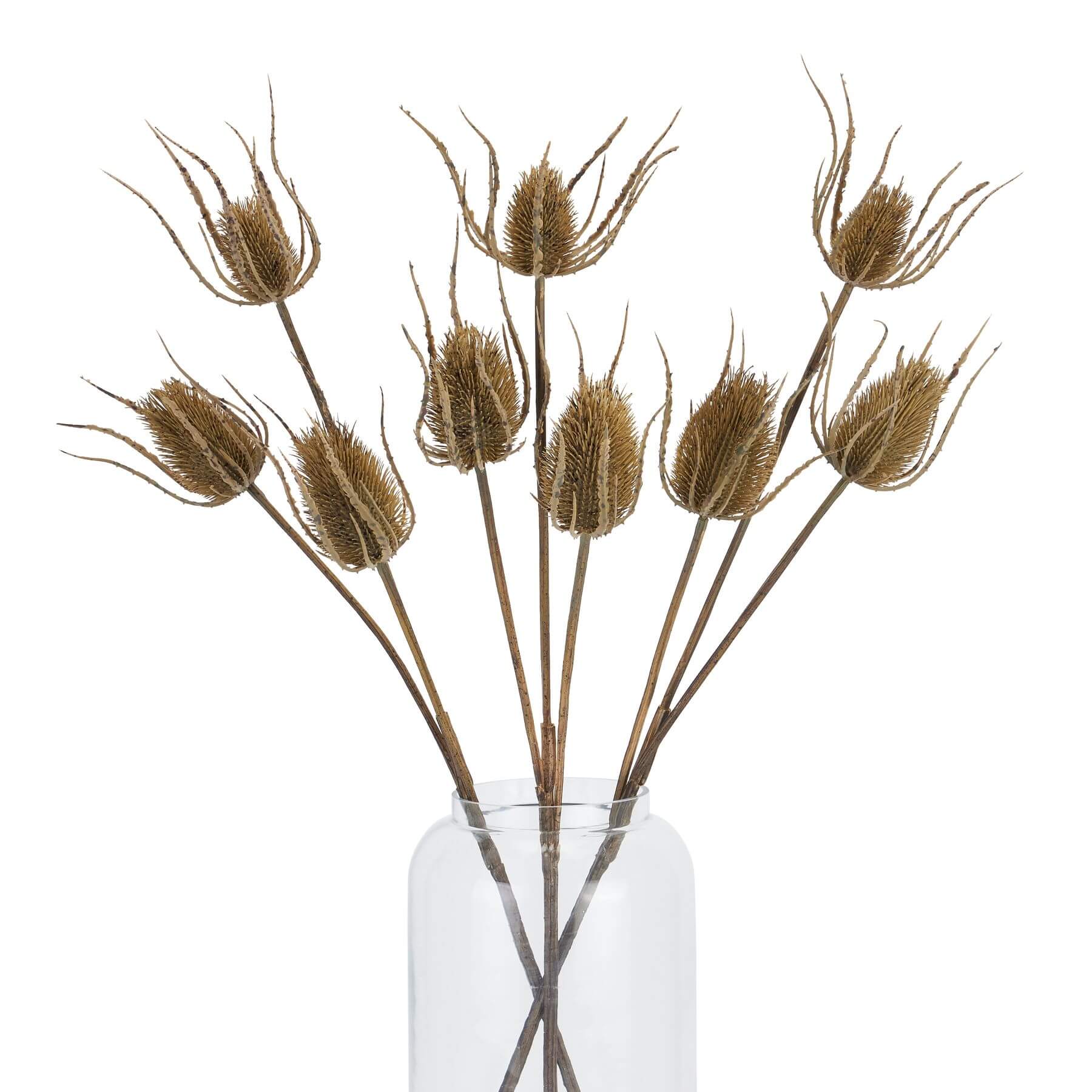 Handcrafted artificial teasle stem with 3 hyper-realistic brown seed heads, 85cm tall, for year-round botanical decor by sostter at brixbailey.com