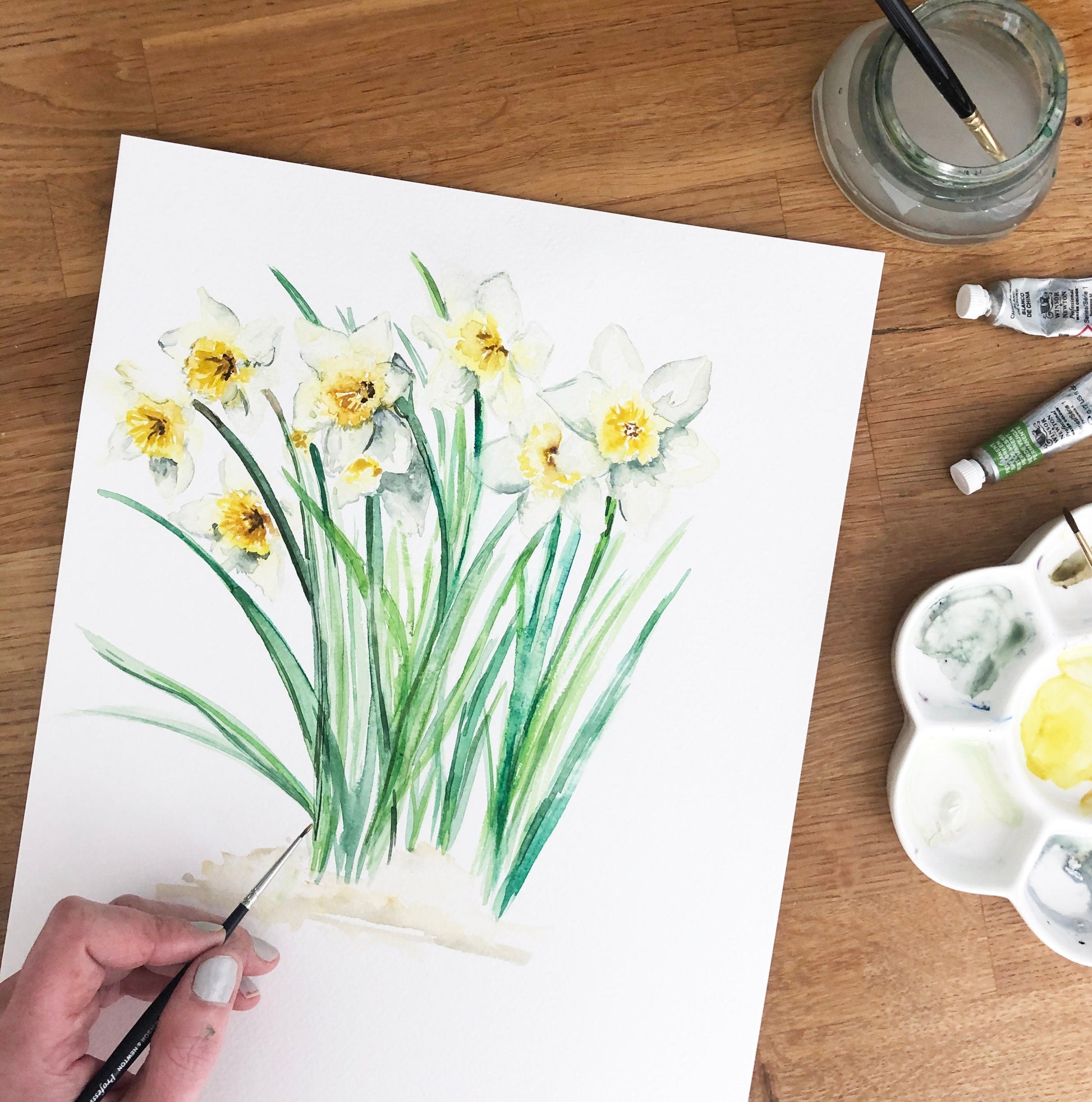 Daffodils March Birth Flower Watercolour Fine Art Print
