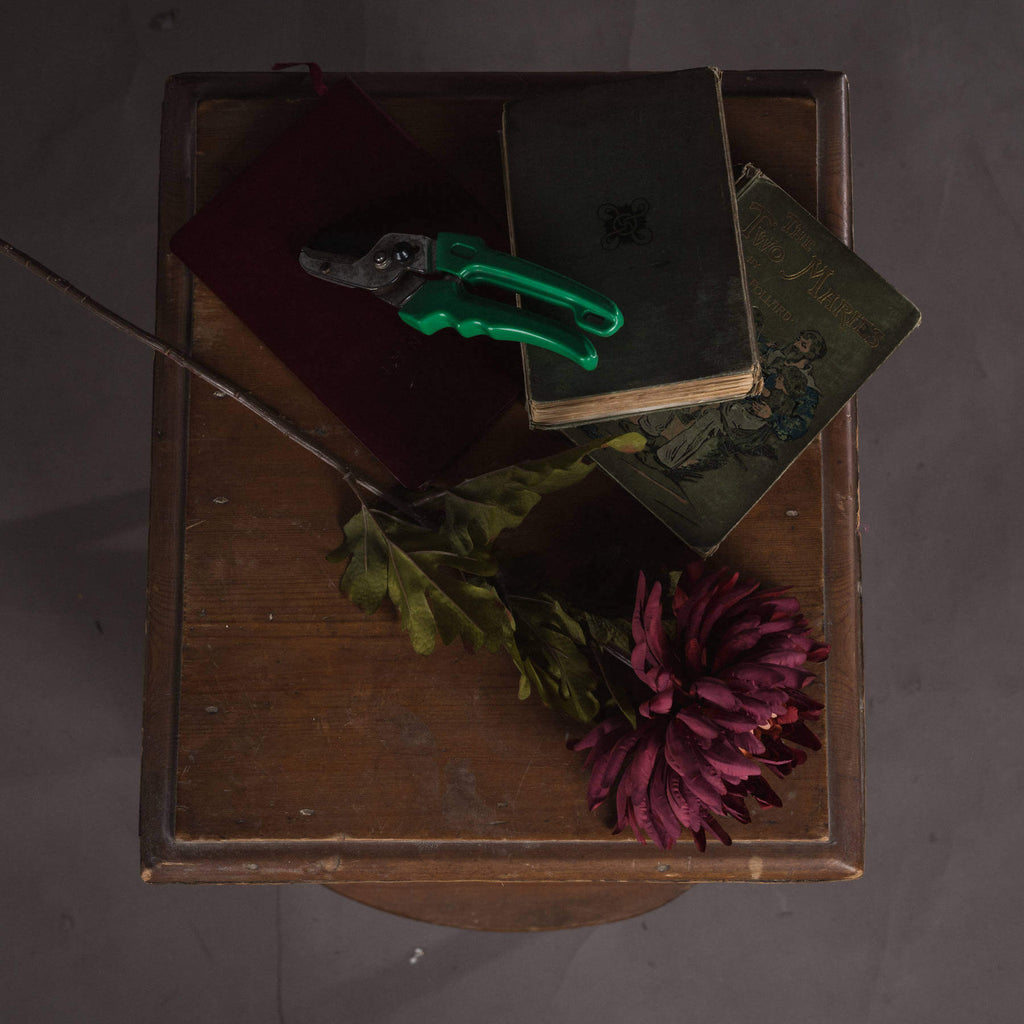 Lifelike artificial spider chrysanthemum with ombre rust-to-burgundy petals, perfect for autumn decor. by RoomLondon at brixbailey.com