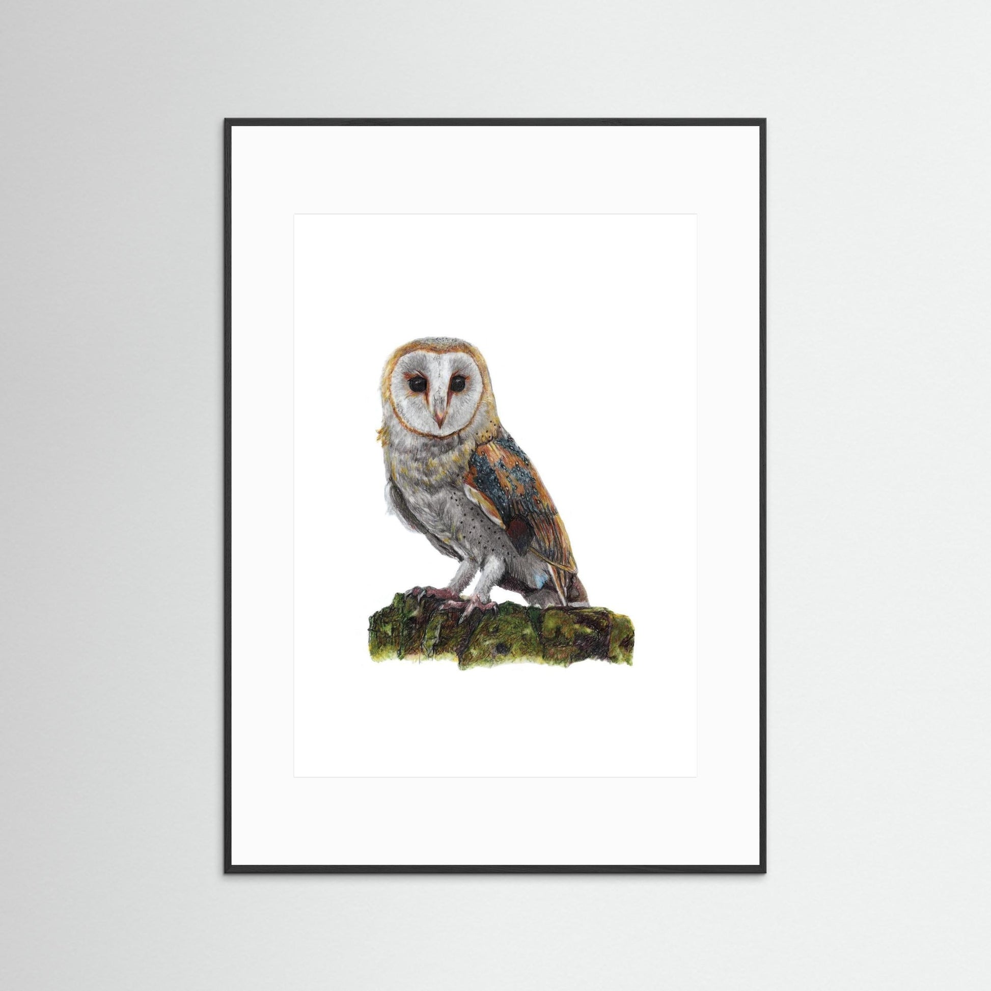 Barn Owl Art Print Wildlife Wall Art for Nature Lovers
