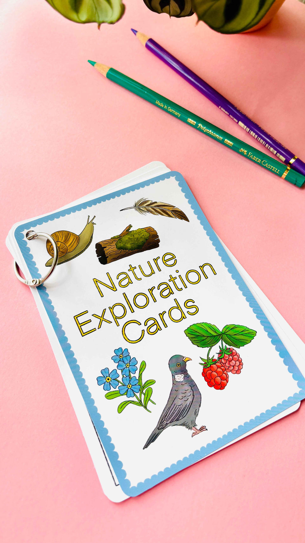 Nature Explorer Scavenger Hunt Cards Illustrated Educational Activity