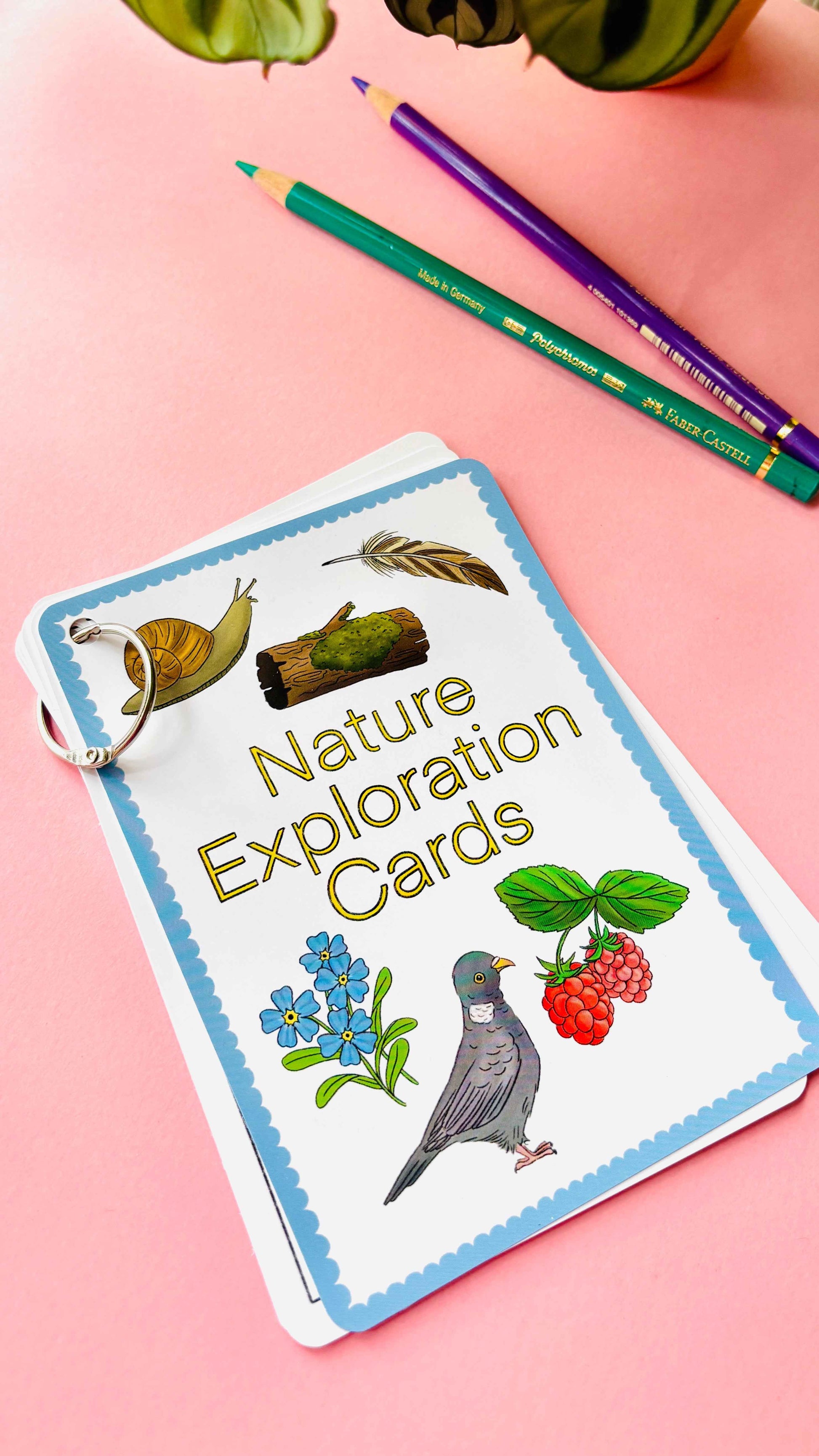 Nature Explorer Scavenger Hunt Cards Illustrated Educational Activity