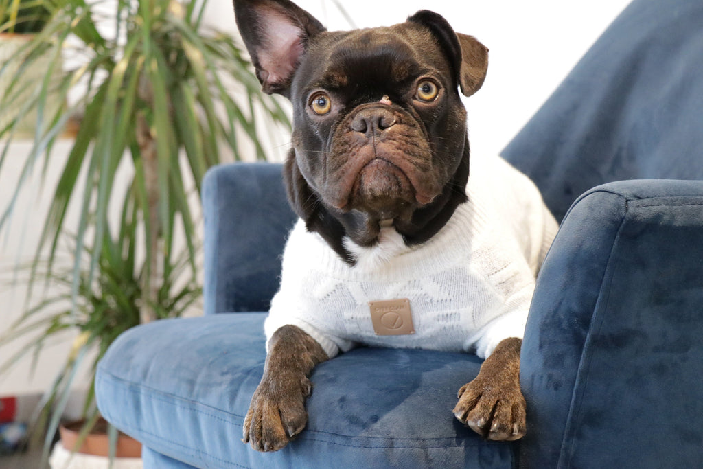 Textured Knit Jumper in Rose and White