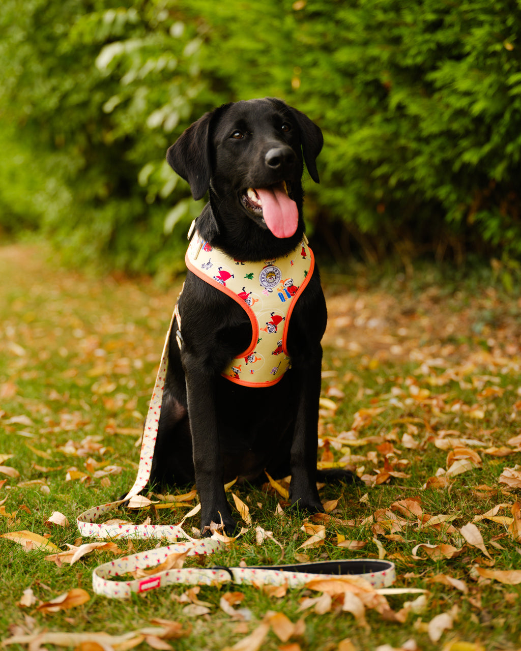 Yellow Sunrise Moomins Padded Dog Harness