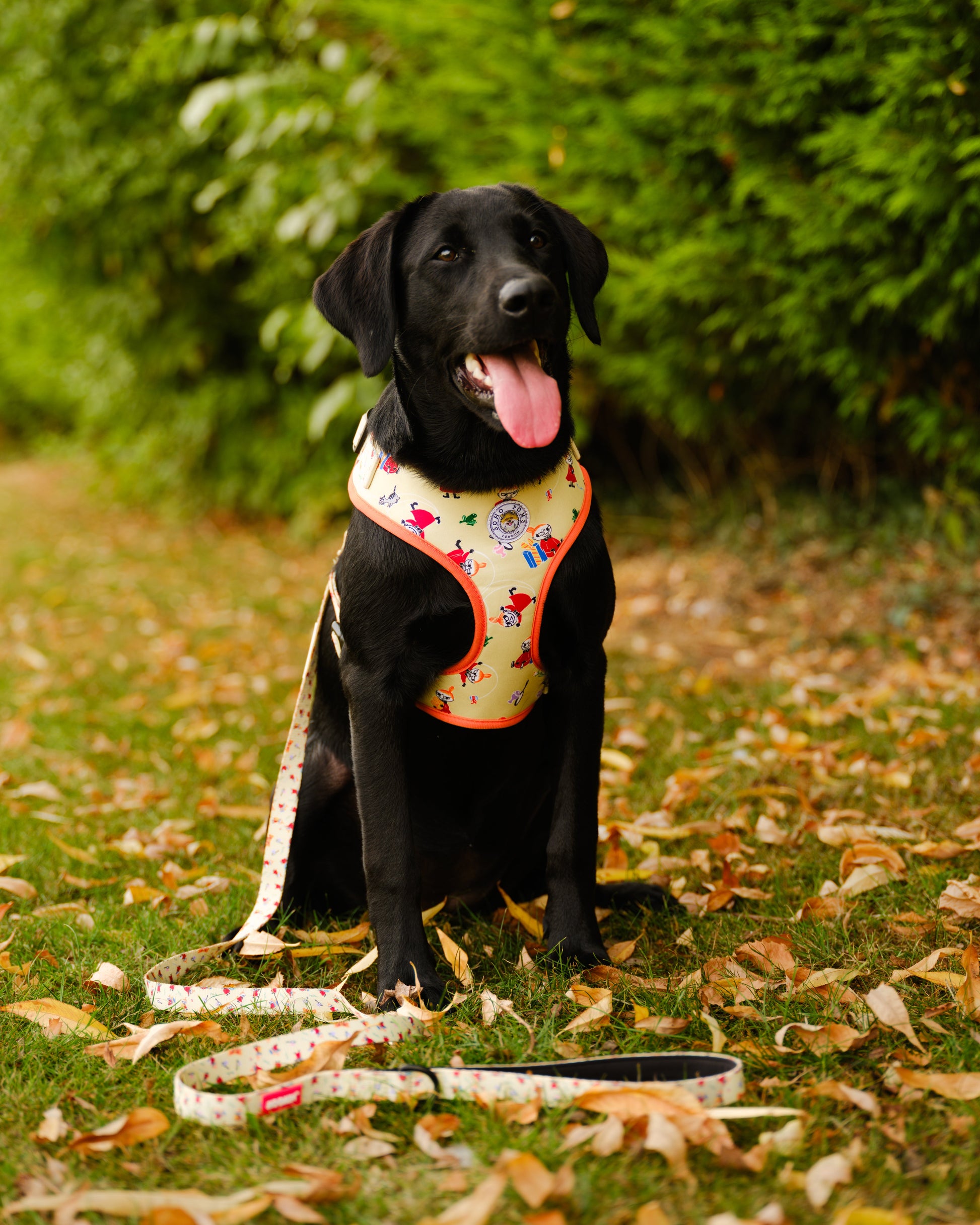 Yellow Sunrise Moomins Padded Dog Harness