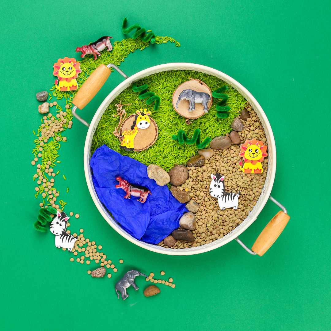 Safari Activity Kit for Kids