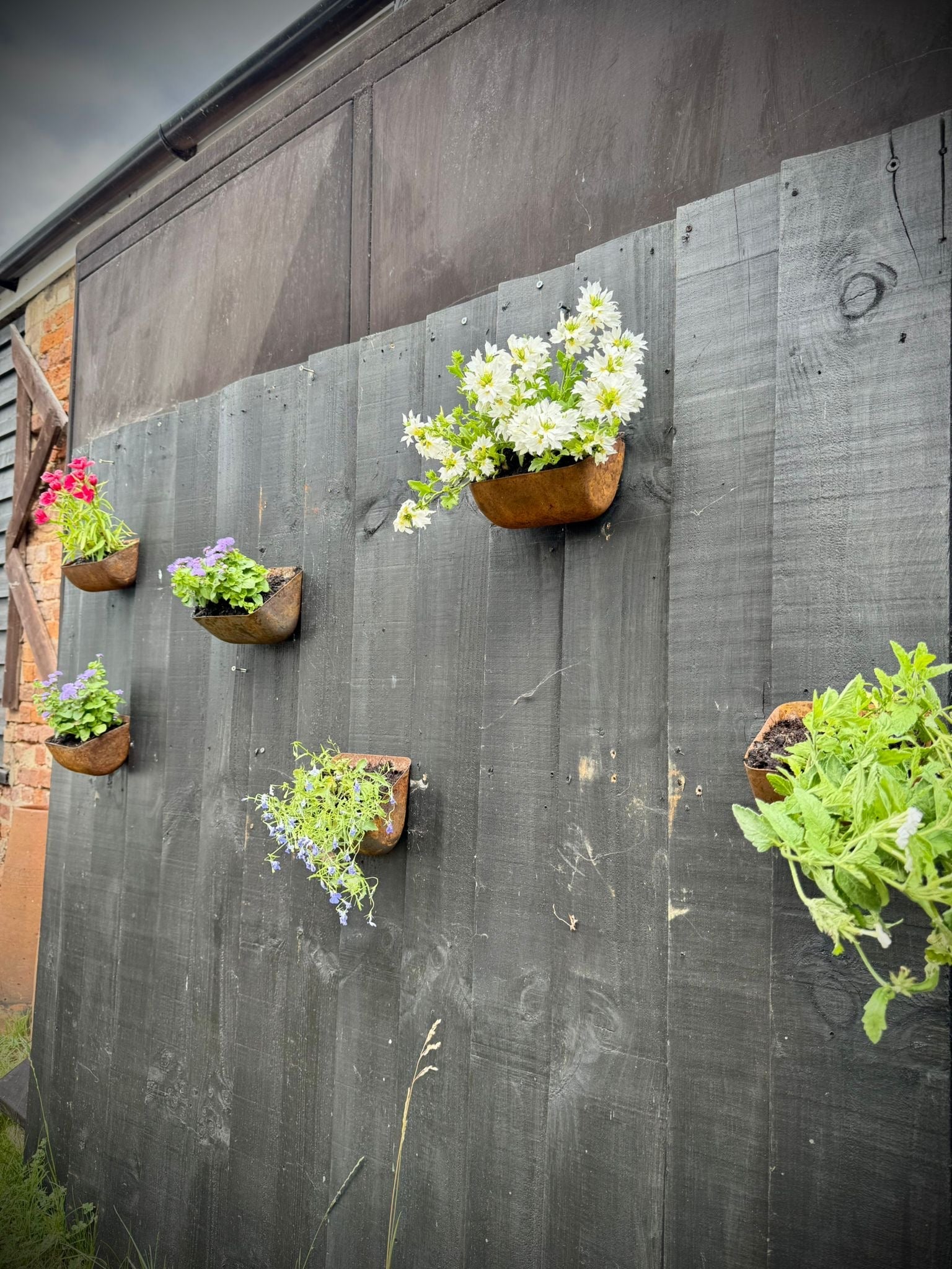 Vintage Rusty Metal Wall Mounted Planter for Herbs and Flowers