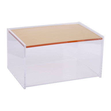 Large Clear Storage Box with Gold Hinge