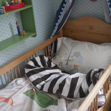 Follies in the Park Reversible Bedding Bundle