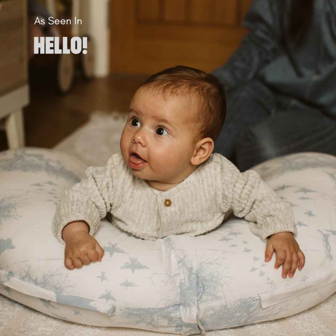 3 in 1 Multipurpose Pillow