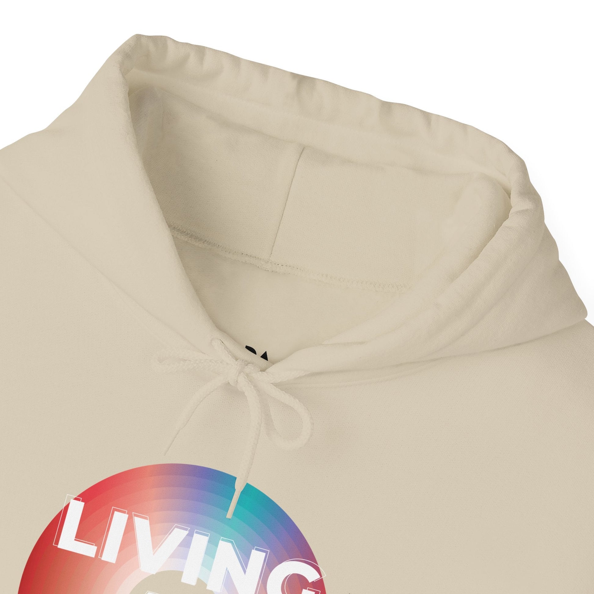Living at 33rpm Men's Hoodie