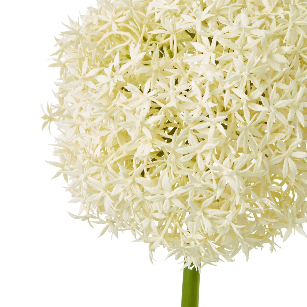 Cream artificial allium stem, 90cm tall, lifelike plastic botanical decor for elegant home arrangements by sostter at brixbailey.com