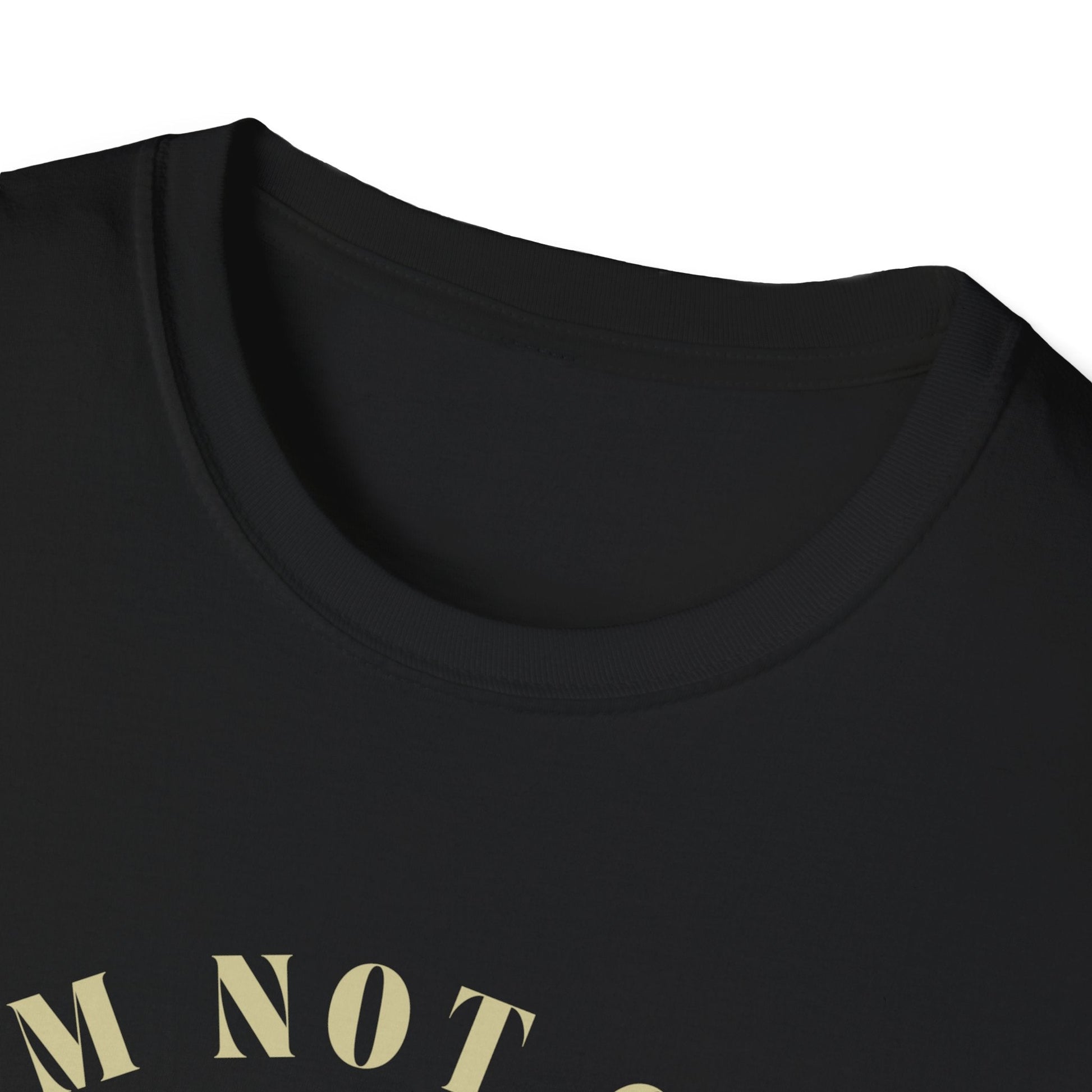 I'm Not Old T-Shirt