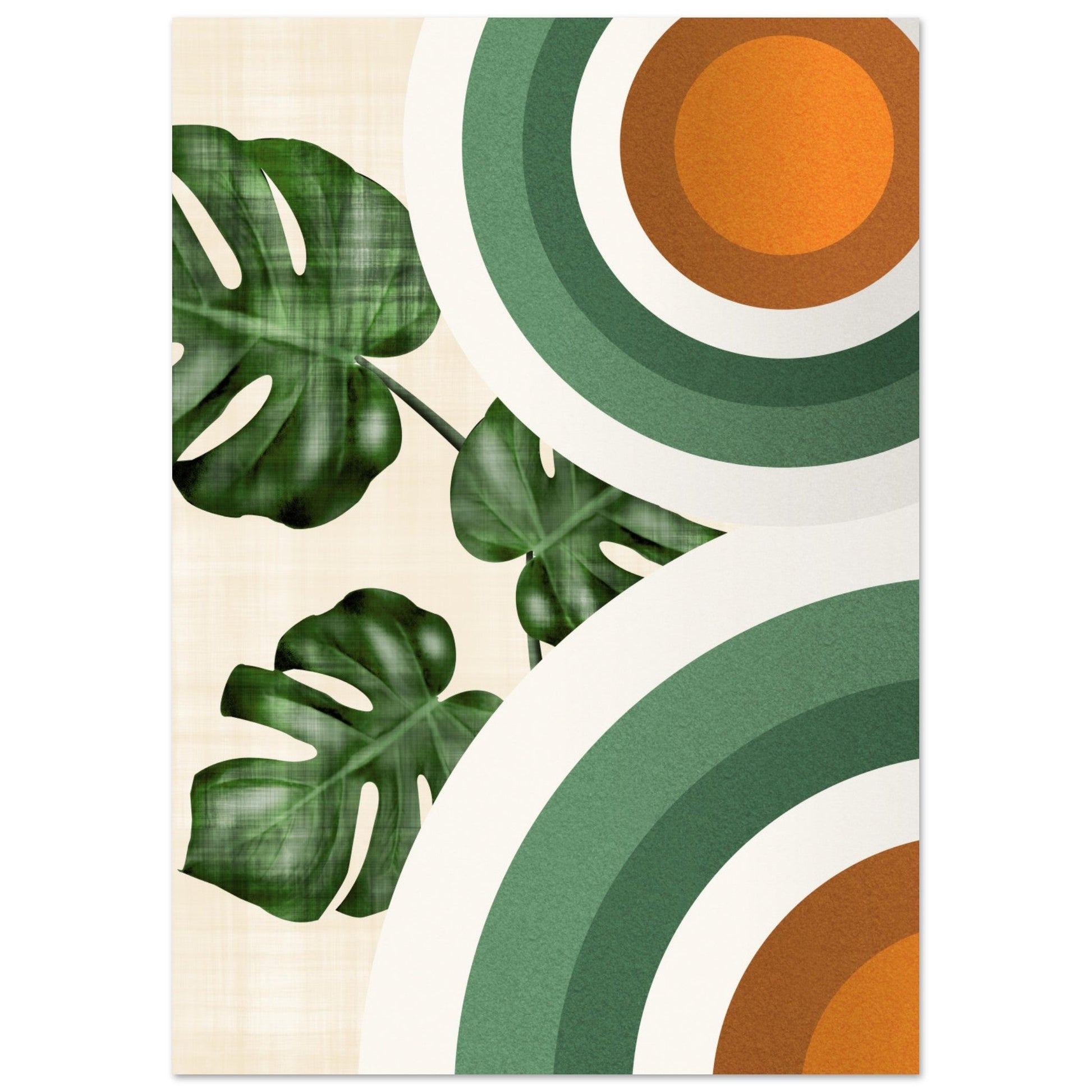 Monstera and Circles Poster Print