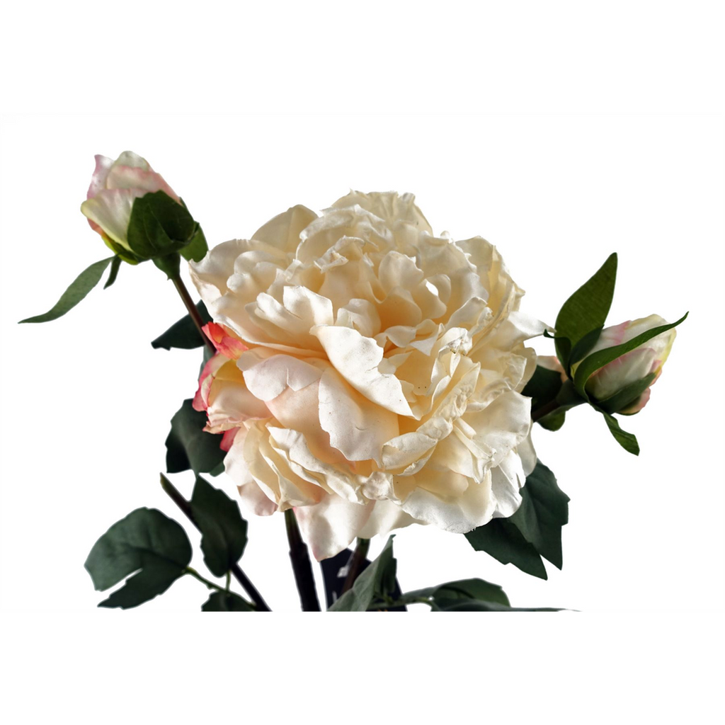 Cream Peony Artificial Flowers 60cm Stem Pack of 6