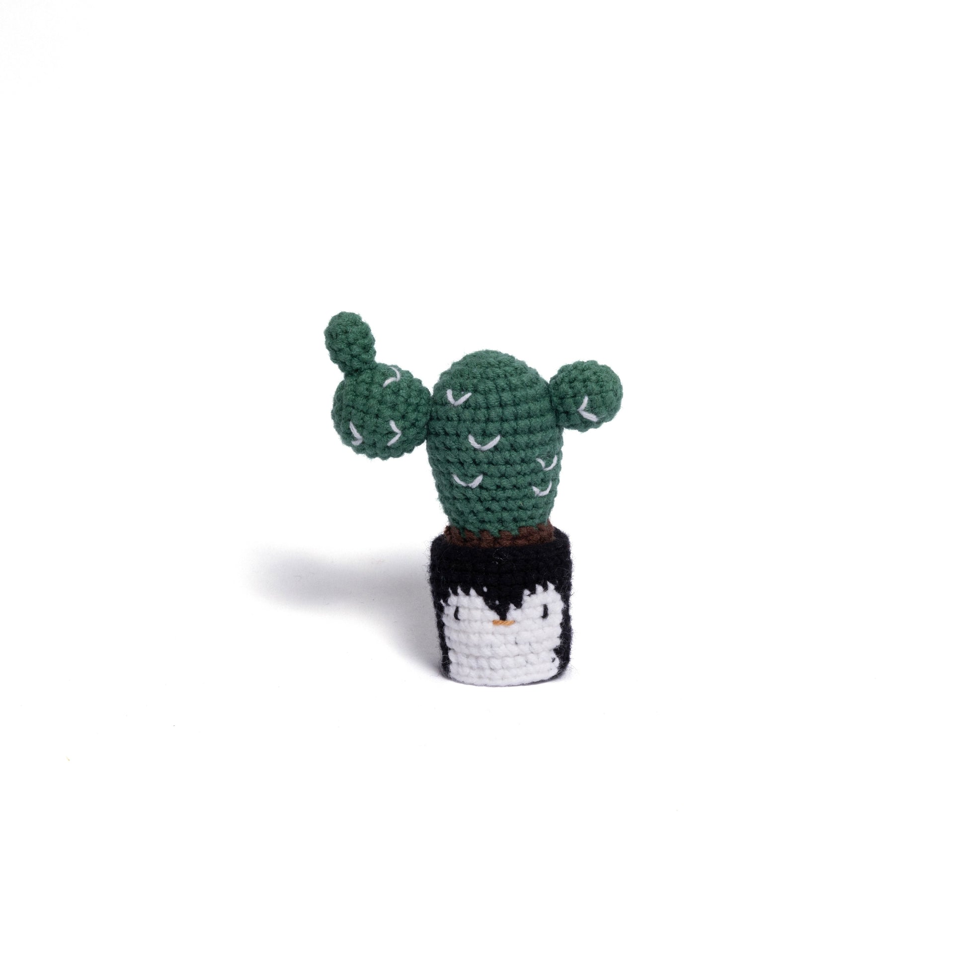 Handmade Crochet Cactus Family Collection Five New Friends