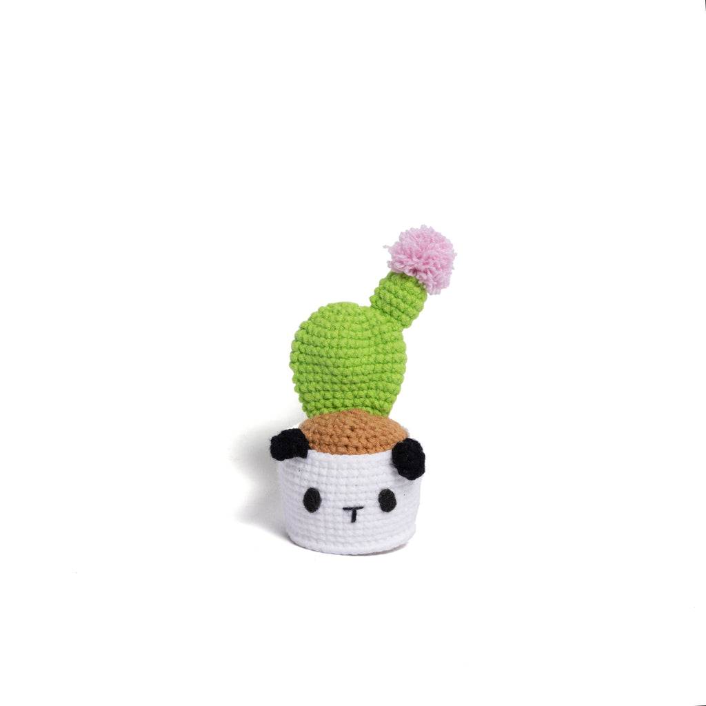 Handmade Crochet Cactus Family Collection Five New Friends