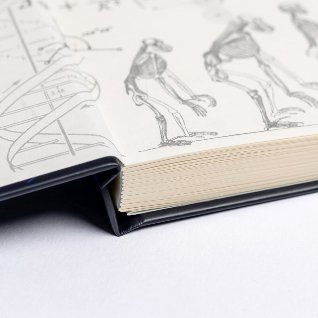 Undated Yearly Productivity Planner in Red