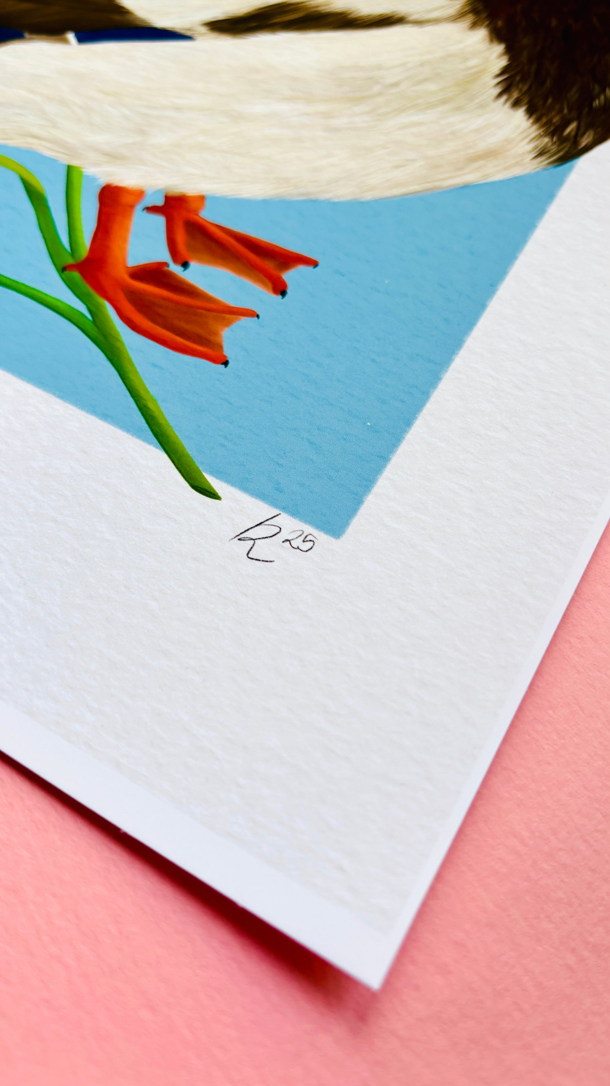 Mallard Duck and Iris British Wildlife Art Print