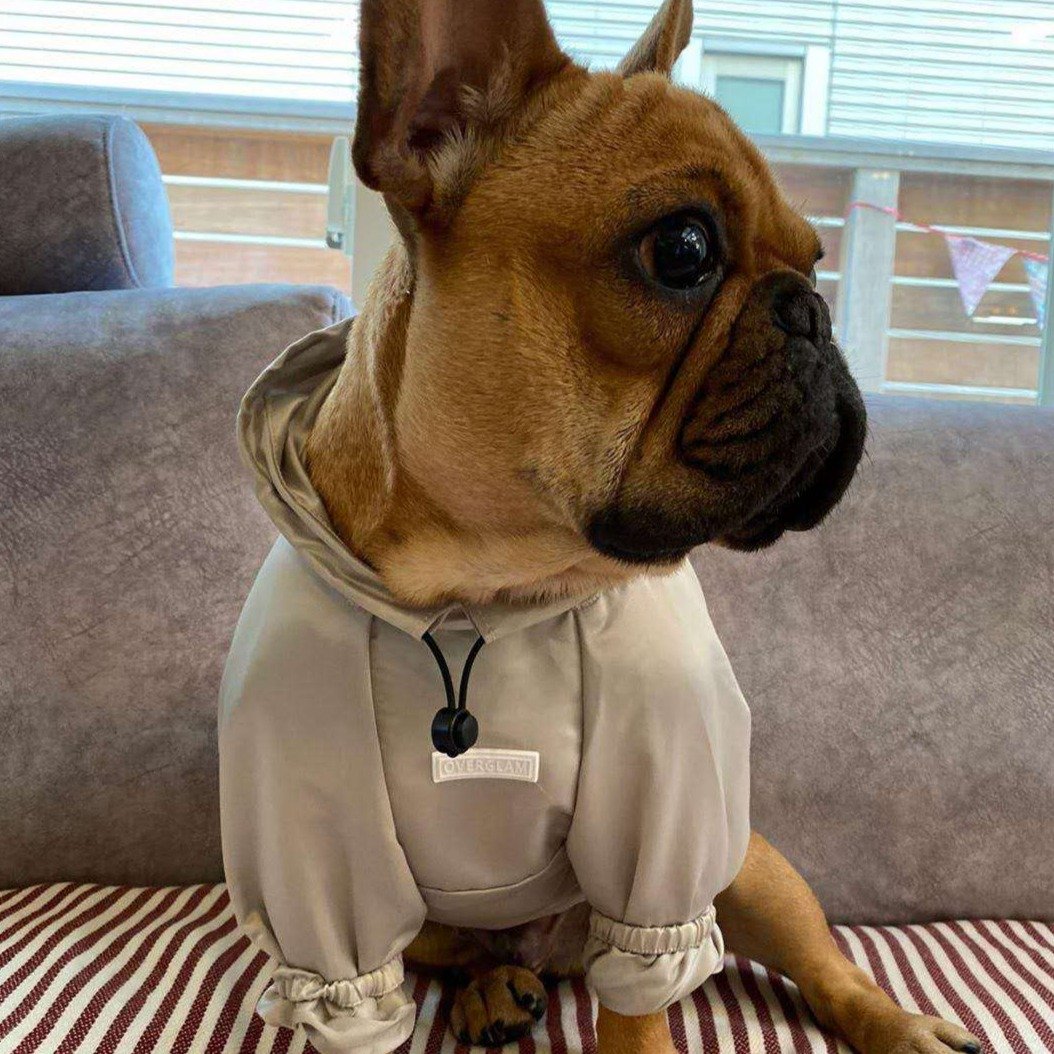 Ribbon Thin Glossy Water Resistant Coat