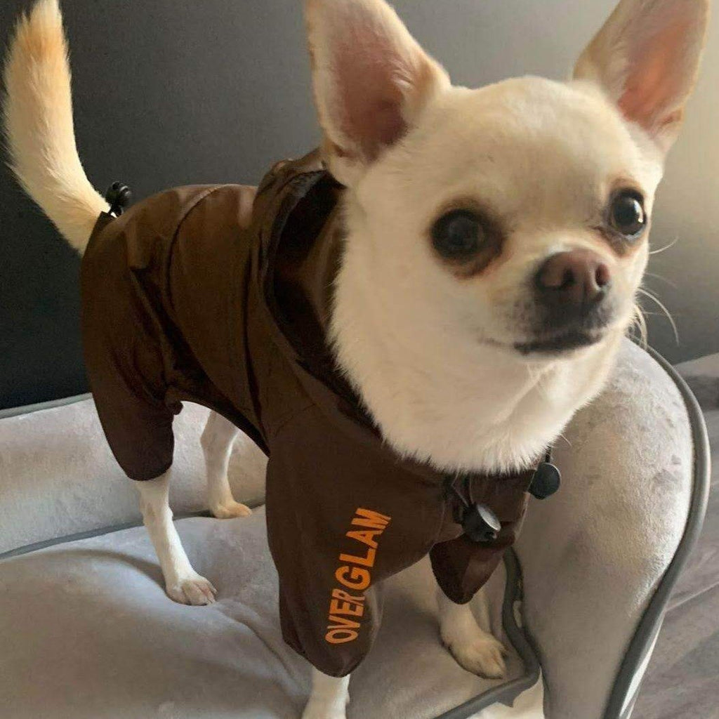 Water Resistant Four Legged Coat with Hoodie