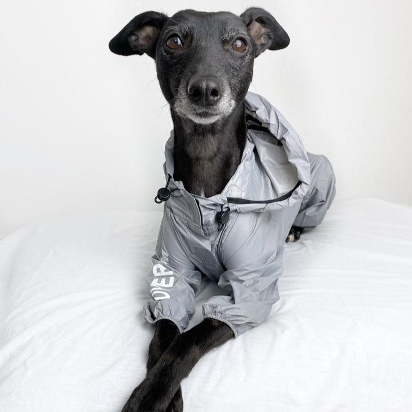 Water Resistant Four Legged Coat with Hoodie