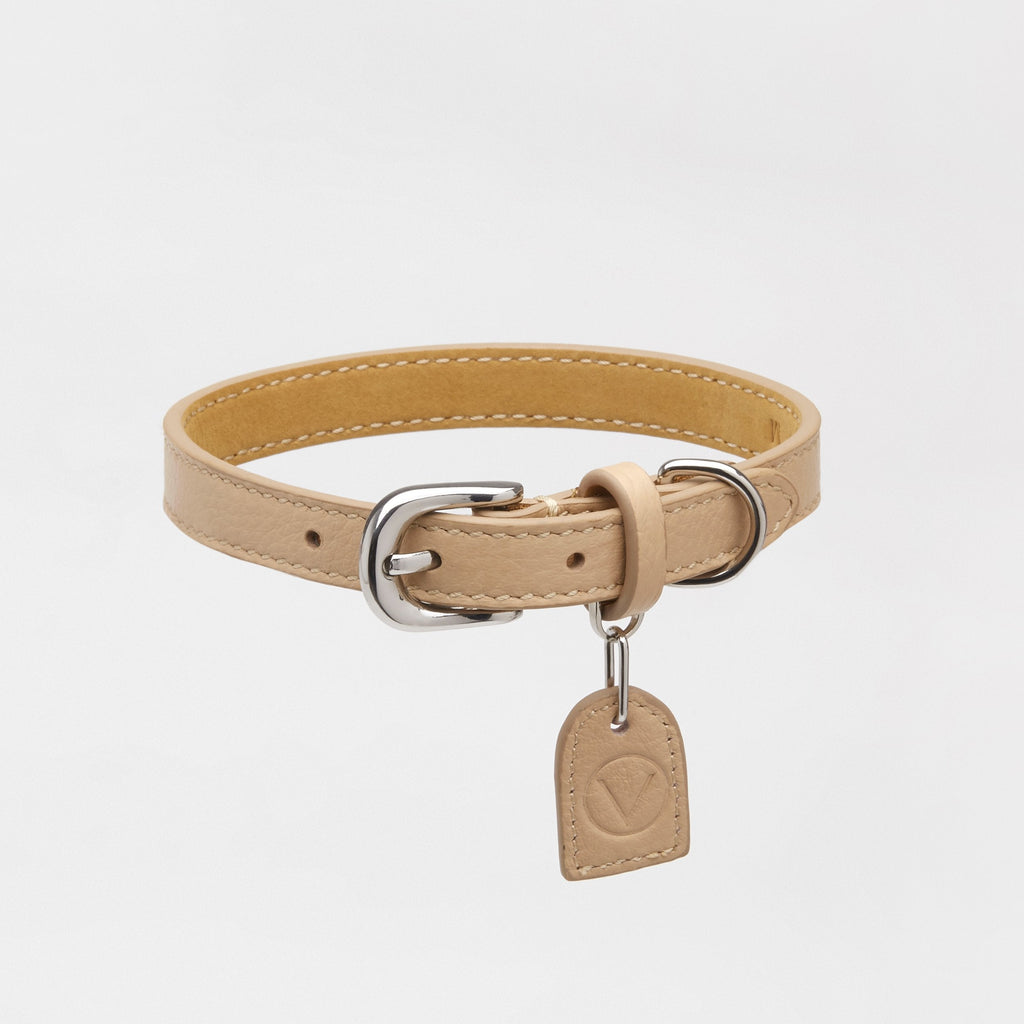 Leather Collar with Gold and Silver Hardware