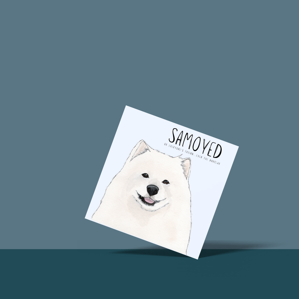 Fluff Love and Alibis Samoyed Greeting Card