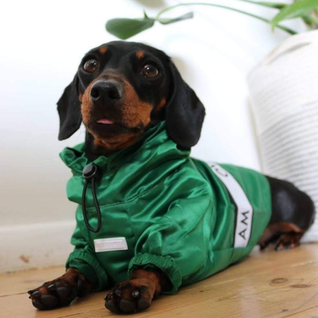 Ribbon Thin Glossy Water Resistant Coat