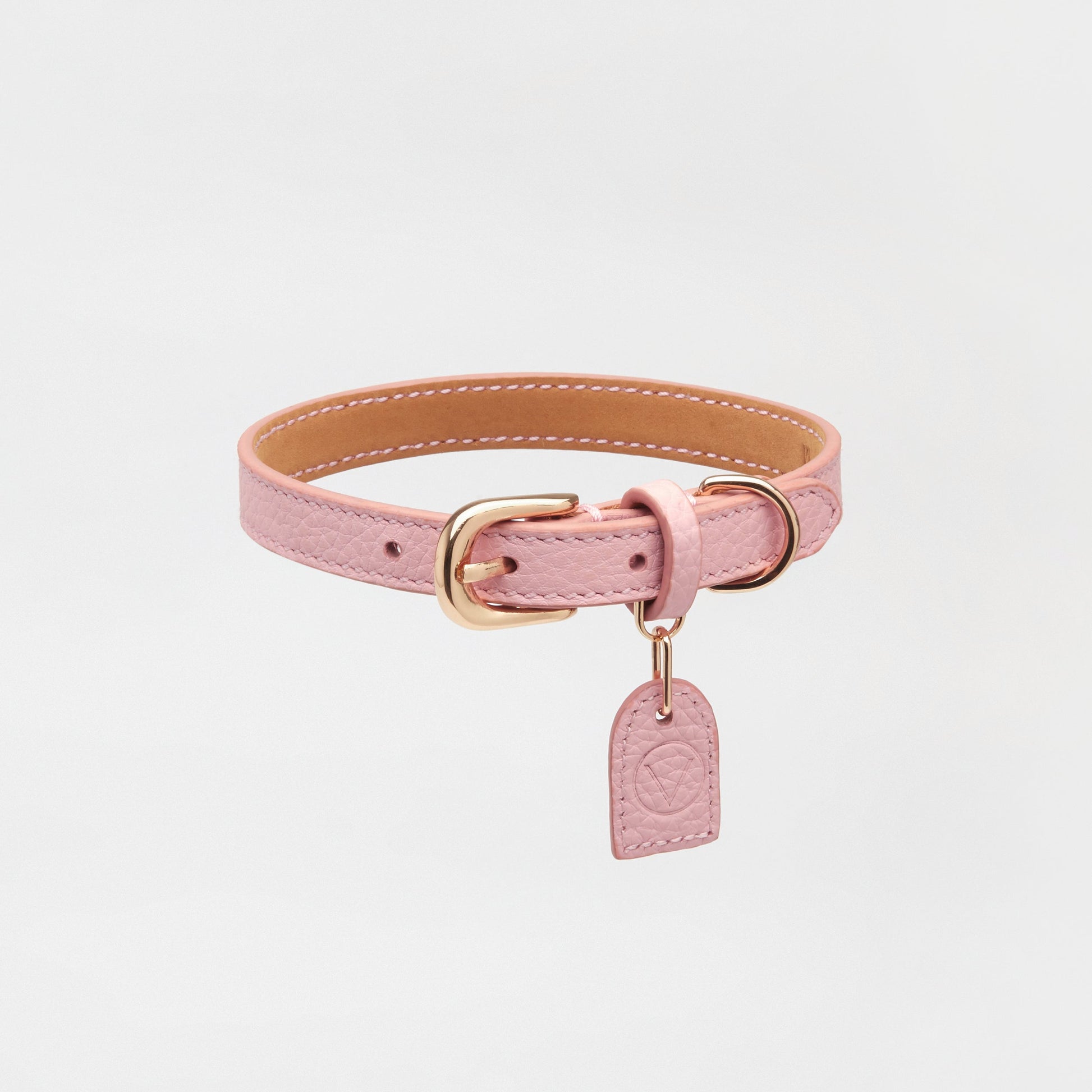 Leather Collar with Gold and Silver Hardware