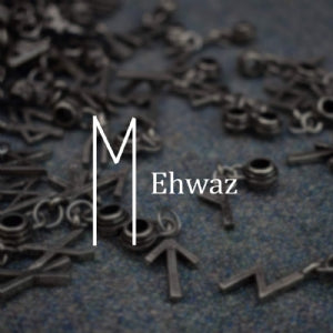 Ehwaz Rune Choker