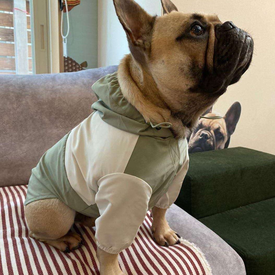 Thin Coat Water Resistant Green and White with Hoodie